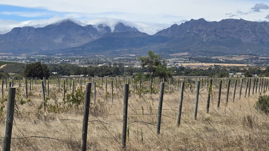 Commercial Property for Sale in Paarl Rural Western Cape